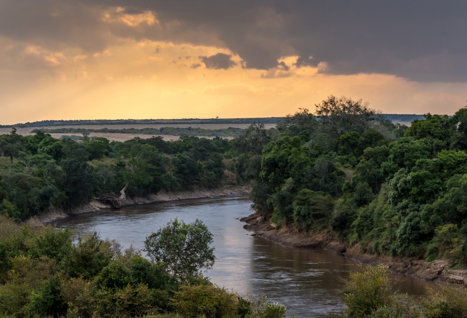 Entim Camp- Masai Mara Game Reserve - Rove Ventures